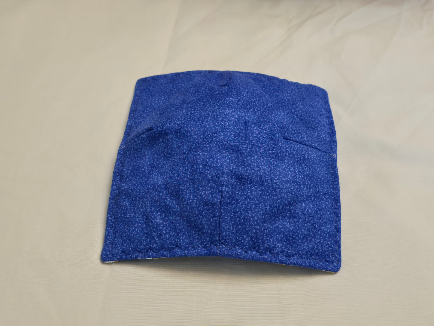 Plate Cozy-minions with blue