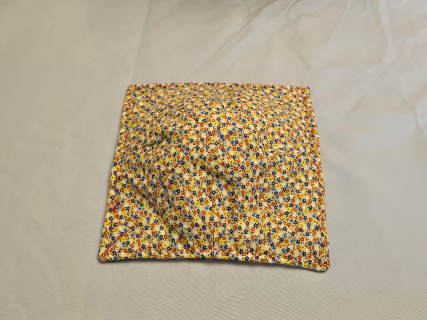 Plate Cozy-trucks on tan with blue floral