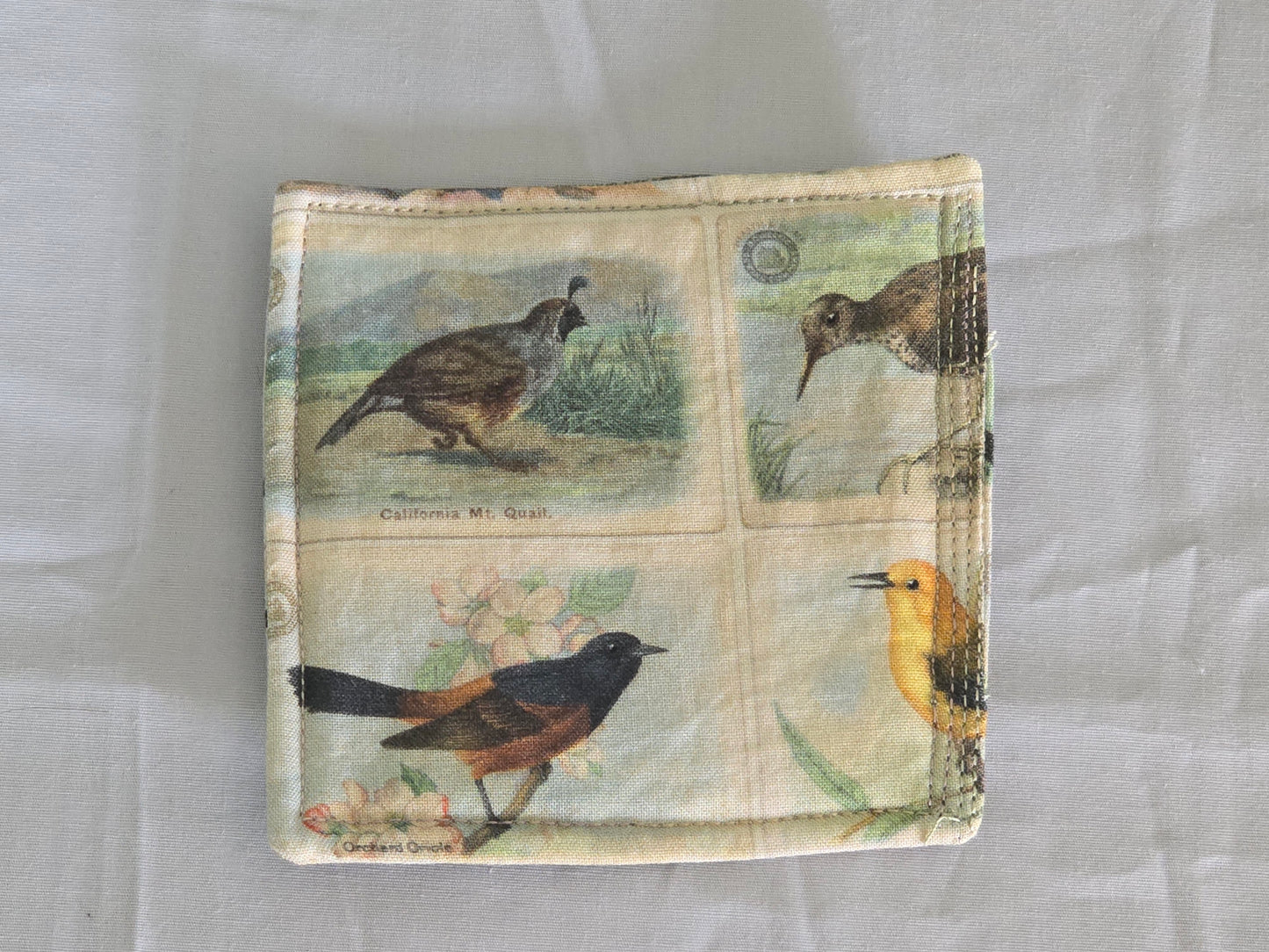 Coaster - Birds in Nature