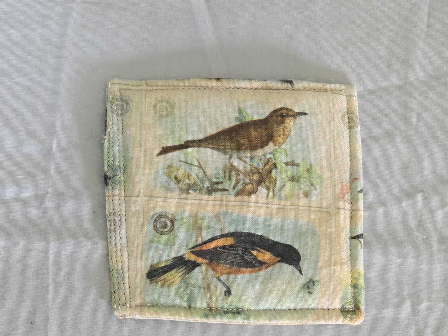 Coaster - Birds in Nature