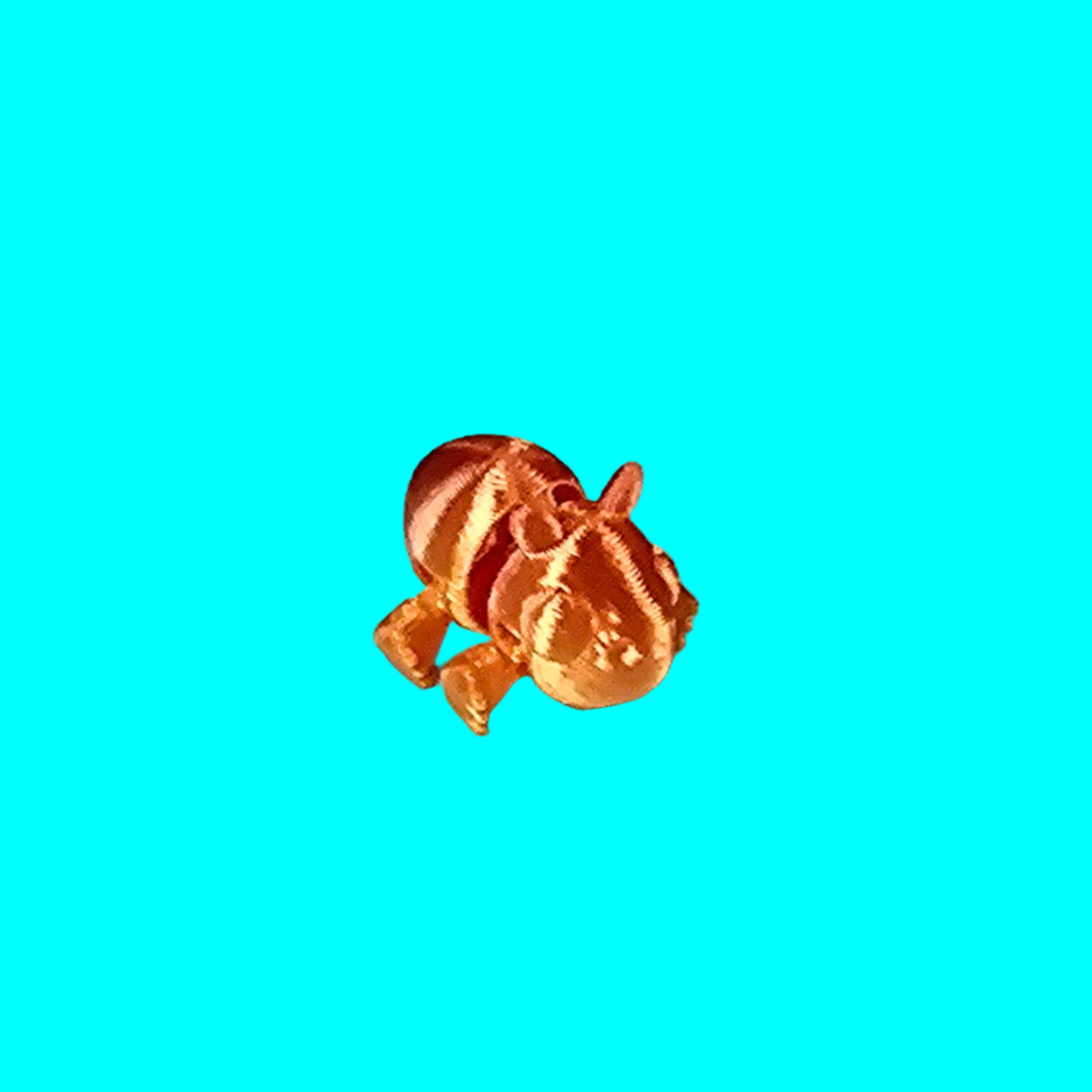 Capybara Mini Flexi
