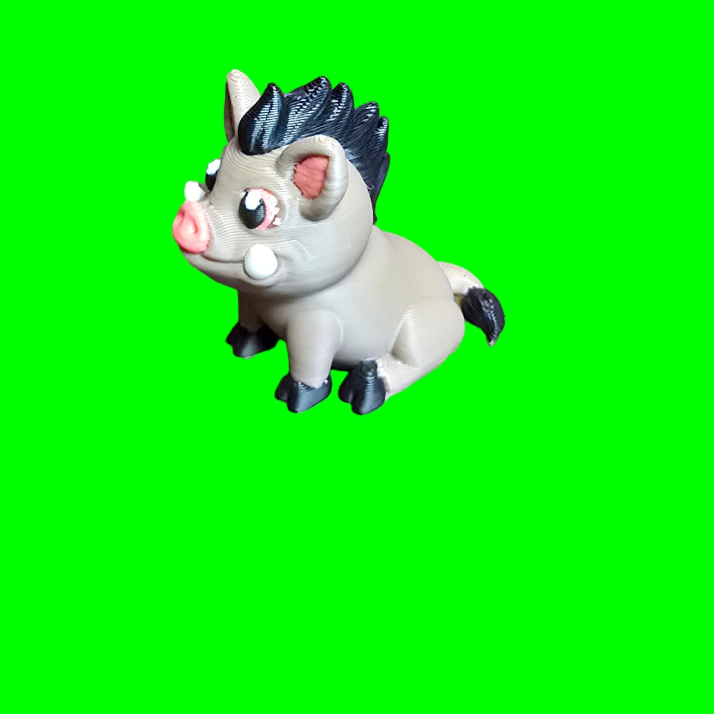 Boar