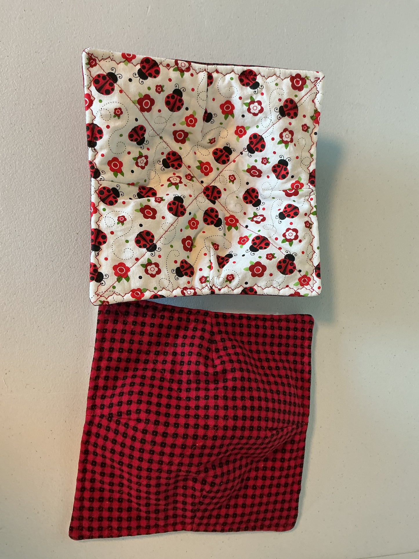 Plate cozy-ladybugs on white