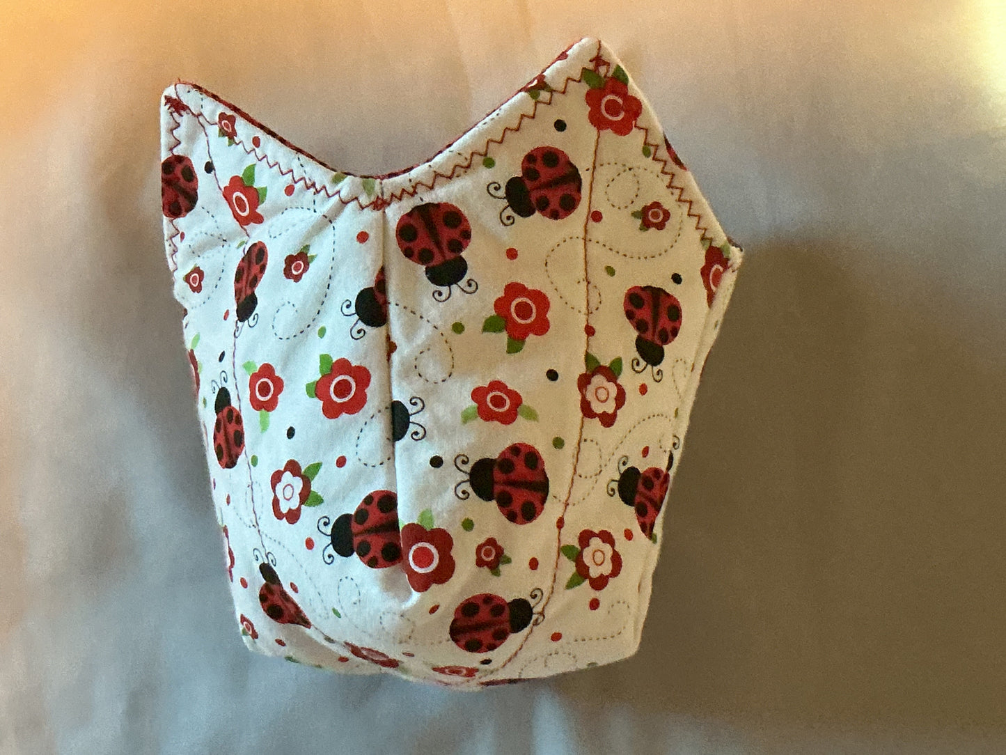 Pint cozy-ladybugs on white