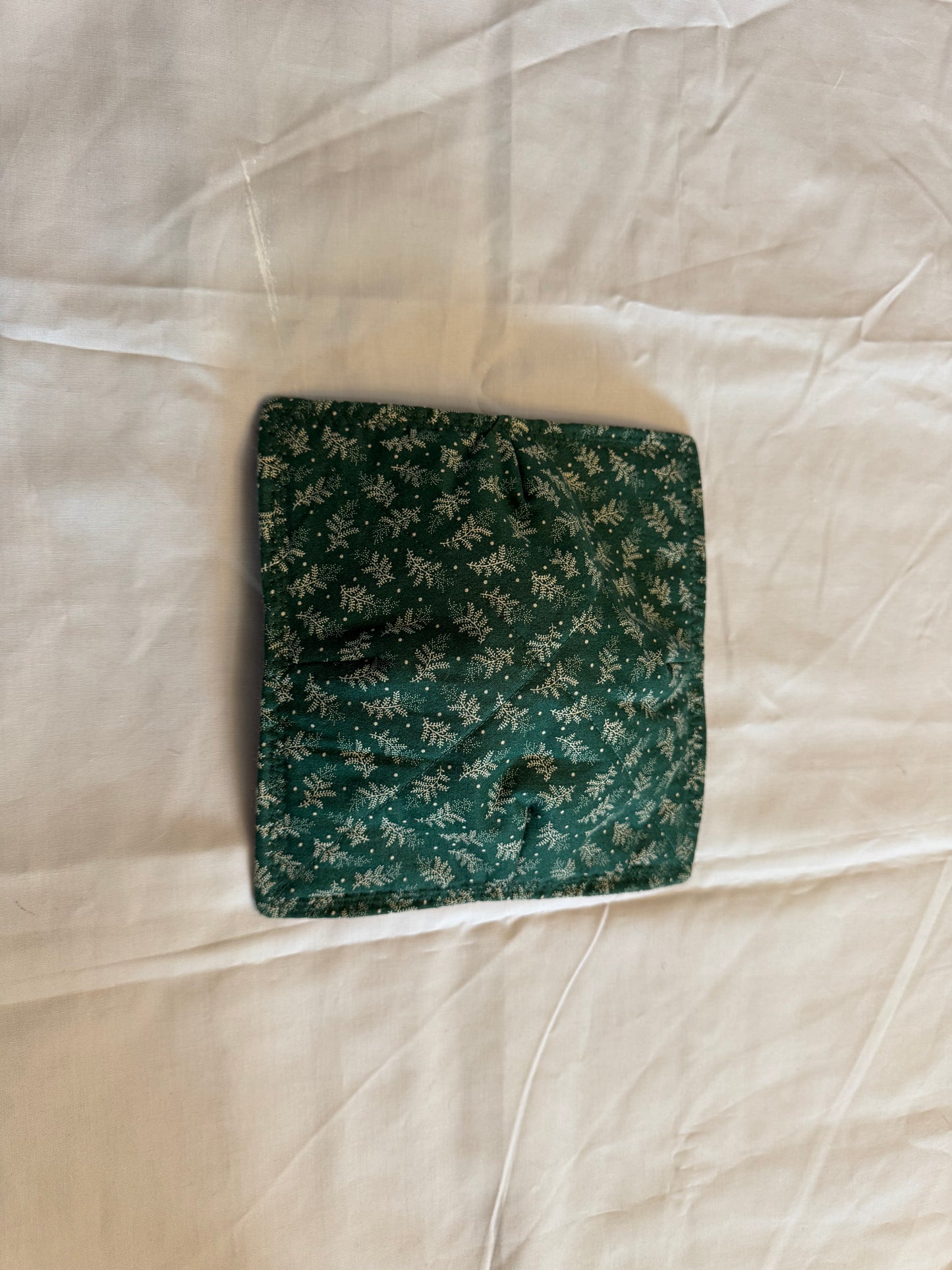 Plate cozy christmas teddy bears with green and leaves