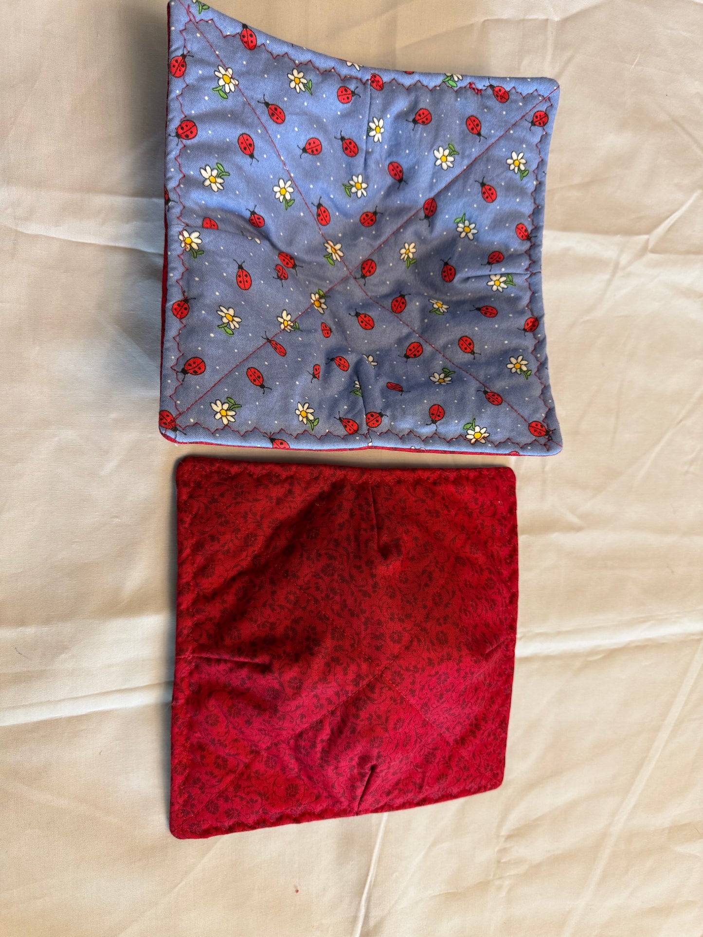 Plate cozy ladybugs and daisies on blue with red