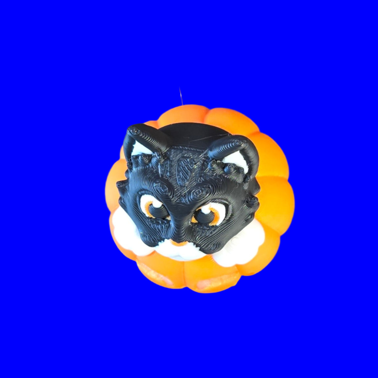 Cat in Pumpkin