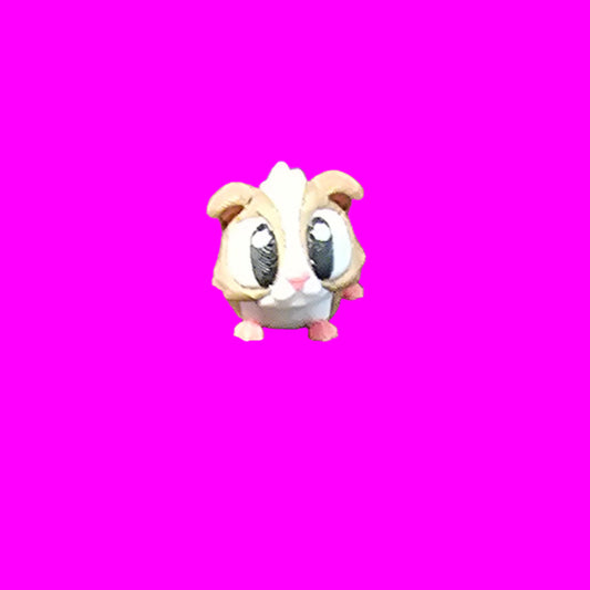 Guinee Pig Flexi