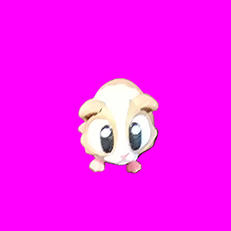 Guinee Pig Flexi