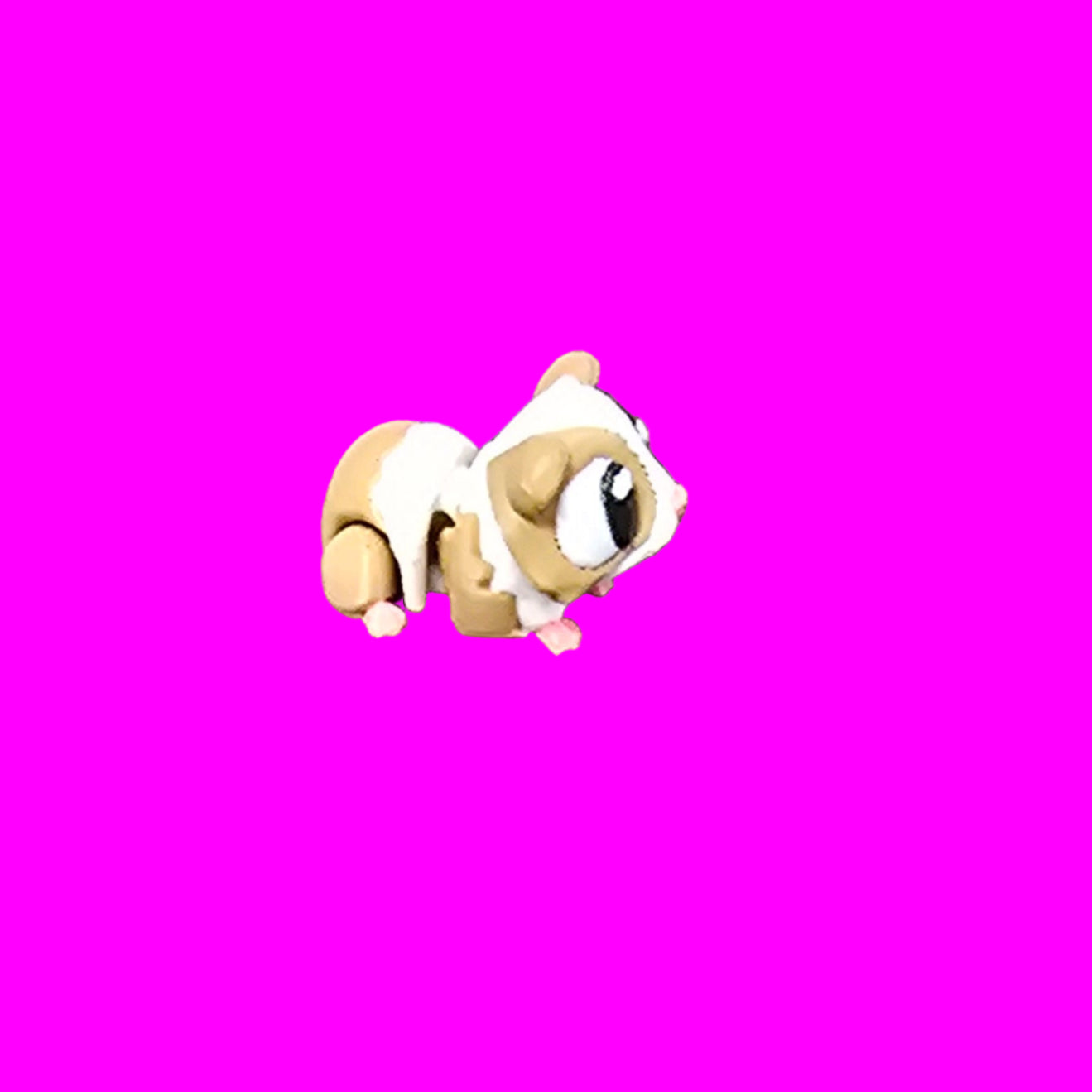 Guinee Pig Flexi