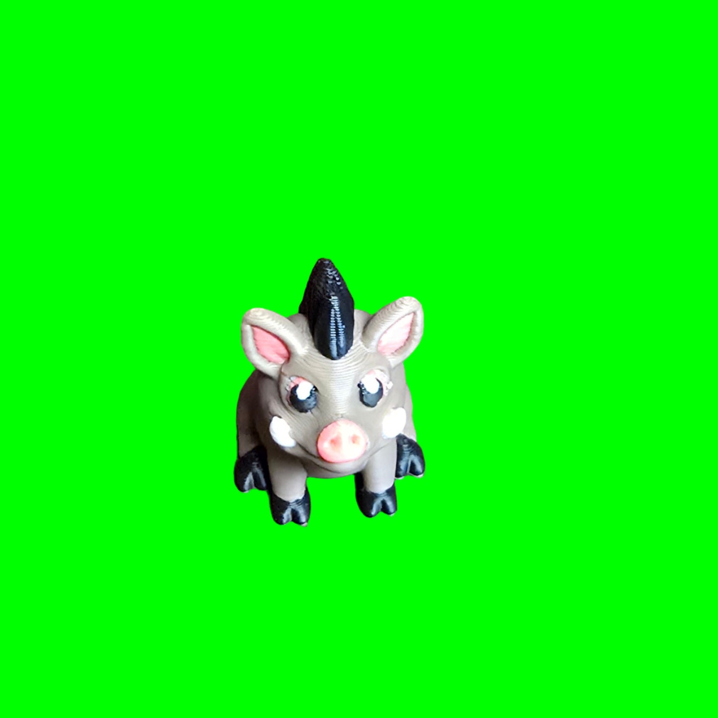 Boar