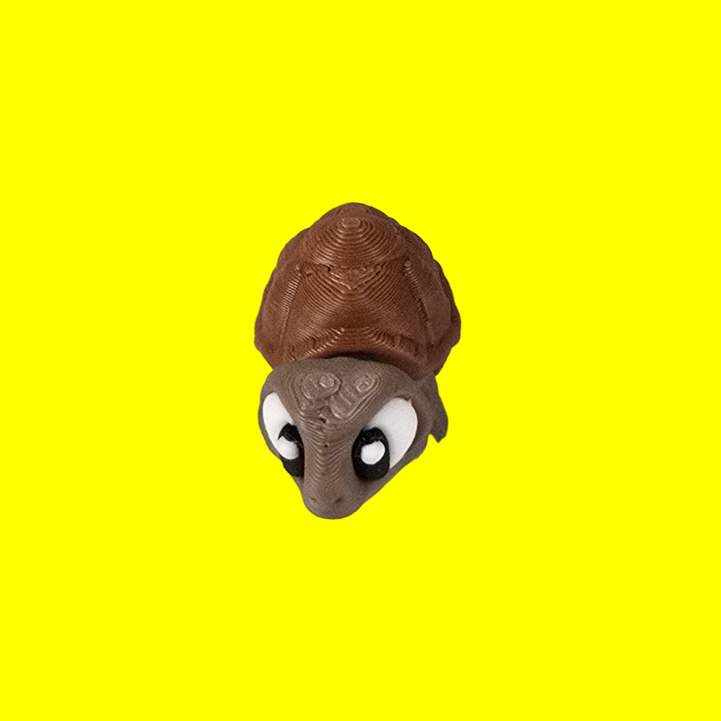 Tortoise Flexi