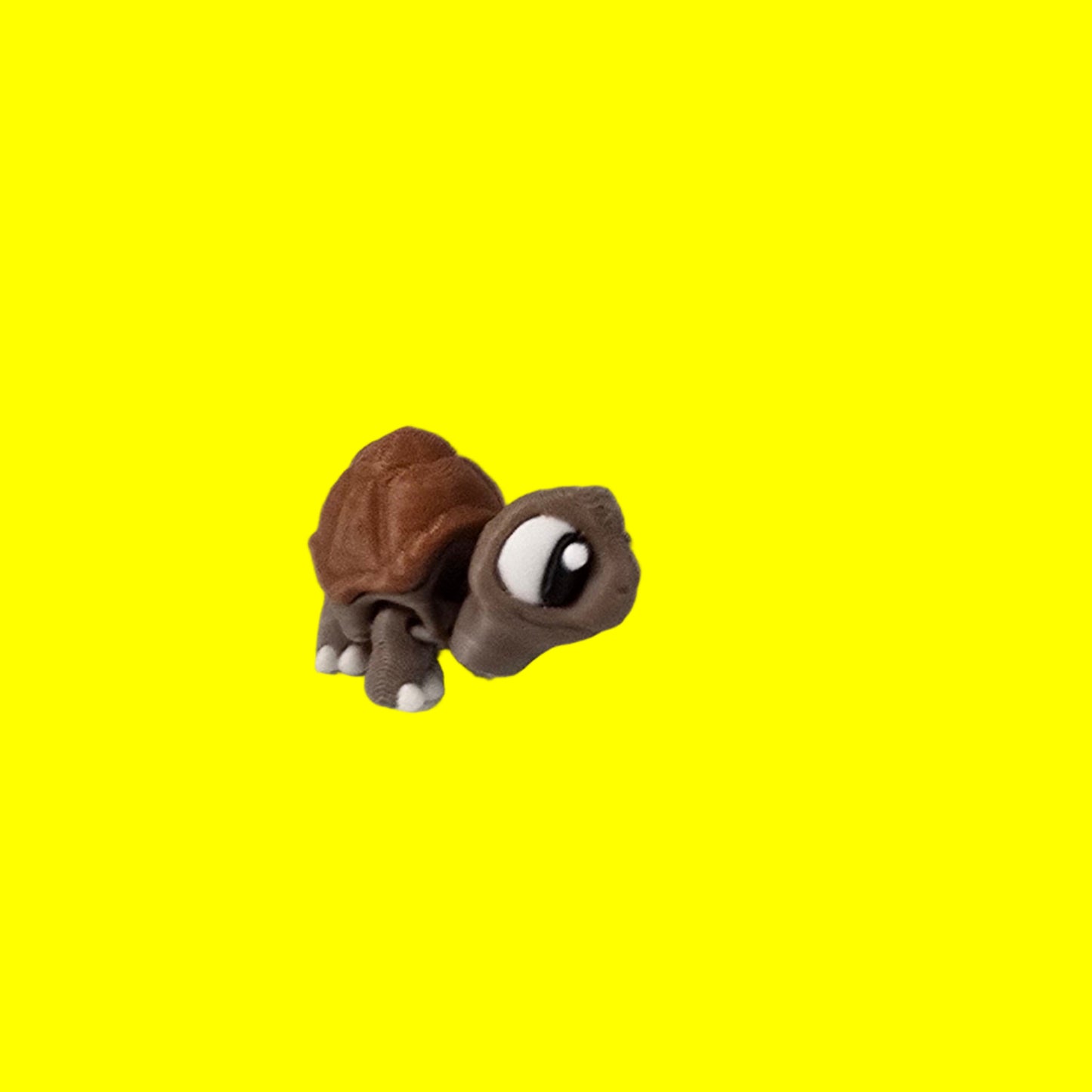 Tortoise Flexi