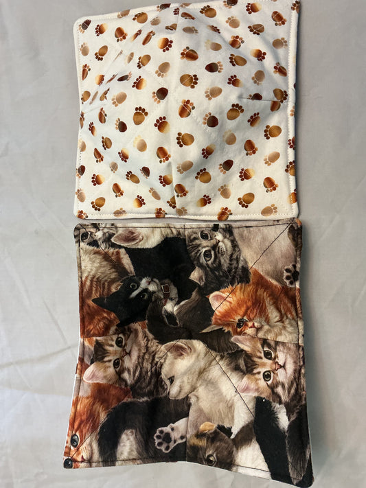Plate cozy-black and brown kittens