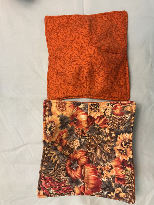 Plate cozy-autumn pumpkins