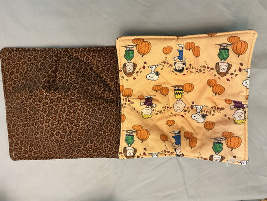 Plate cozy-Charlie Brown pumpkin patch