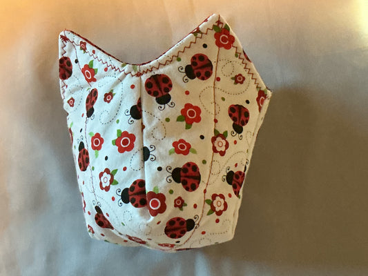 Pint cozy-ladybugs on white